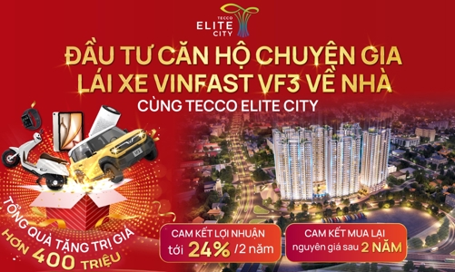 Sở hữu căn hộ Tecco Elite City Thái Nguyên: Cơ hội đầu tư “không rủi ro” với ưu đãi hấp dẫn