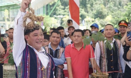 Sắp diễn ra Lễ hội quốc tế sâm Ngọc Linh và Dược liệu tại tỉnh Quảng Nam