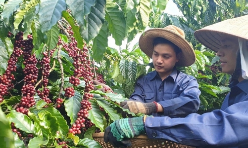 Xuất khẩu sang Tây Ban Nha thời gian tới sẽ gặp nhiều khó khăn