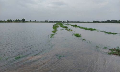 Mưa lớn do bão số 1 gây ngập lụt và sạt lở ở miền Trung