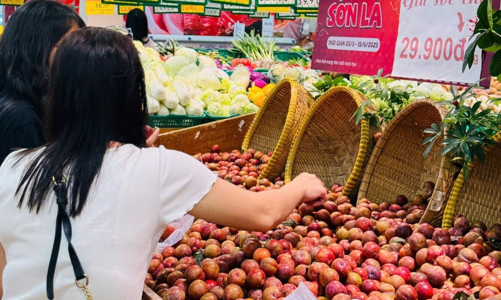 Mận hậu chính vụ: Giá bán thấp hơn và tiêu thụ chậm hơn