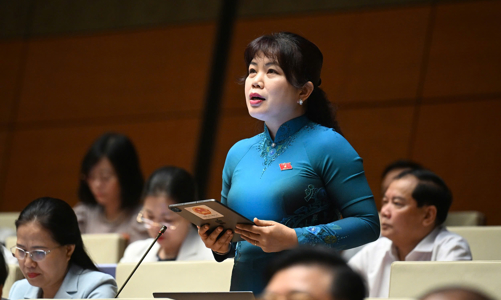 Đại biểu Quốc hội đề nghị đẩy nhanh tiến độ cải cách tiền lương sau sáp nhập tỉnh thành