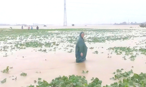 Nhiều địa phương miền Trung ngập trong biển nước do ảnh hưởng mưa bão 