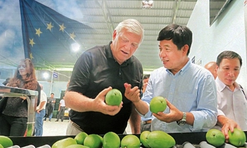 “3 gọng kìm” buộc doanh nghiệp xuất khẩu nông sản, thực phẩm sang EU phải vượt qua