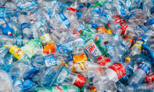 Hệ thống đặt cọc - hoàn trả vỏ chai: Hướng đi mới trong quản lý rác thải nhựa tại Việt Nam