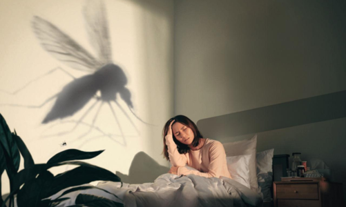 Cảnh giác khi số ca sốt xuất huyết “tăng nóng”