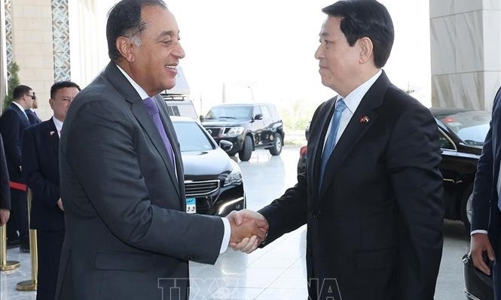 Thủ tướng Ai Cập đề xuất thành lập Hội đồng kinh doanh Việt Nam - Arab