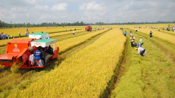 Quốc hội đồng ý kéo dài thời hạn miễn thuế sử dụng đất nông nghiệp đến hết 31/12/2030