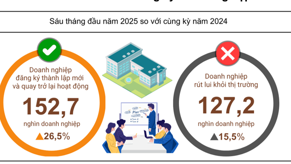 Sóng khởi nghiệp mạnh mẽ, doanh nghiệp thành lập mới tháng 6/2025 tăng cao