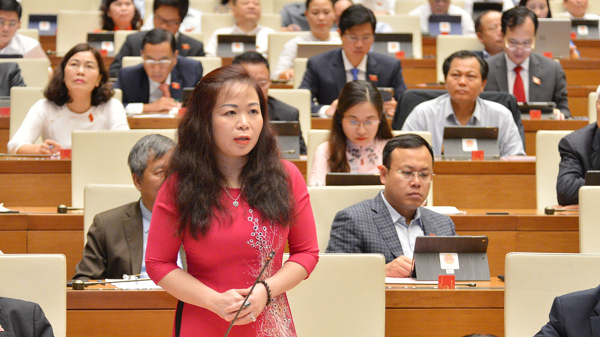 Đề nghị Chính phủ quan tâm hơn việc huy động vốn ngoài ngân sách cho phát triển