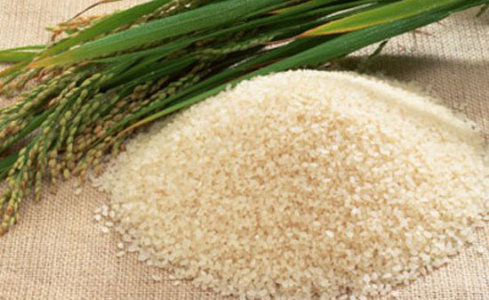 Giá gạo Việt Nam tăng do “nông dân găm hàng”