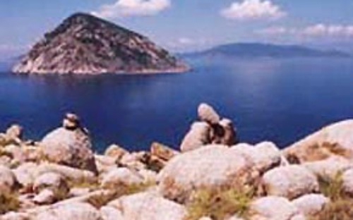 Yến sào Khánh Hòa: 25 năm phát triển bền vững