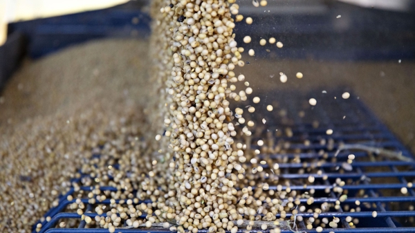 “Trung Quốc sắp nối lại nhập khẩu đậu tương, khí đốt Mỹ”