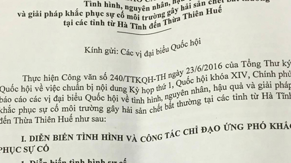 9 dòng kiểm điểm trách nhiệm trong báo cáo riêng về Formosa