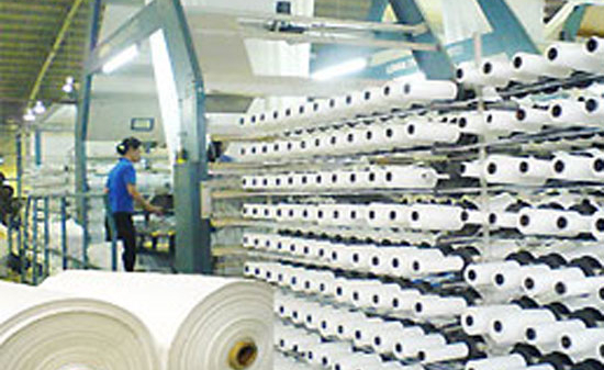 Quan ngại thương mại Việt-Nhật hậu động đất, sóng thần