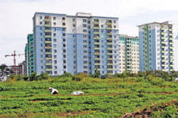 Quy hoạch và cơn say giá đất