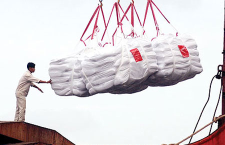 Gạo Việt Nam vững giá nhờ bán được cho châu Phi