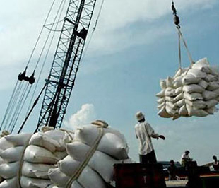 “Xuất khẩu nông nghiệp 2009 sẽ khó hơn chúng ta tưởng”