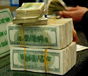 Ứng xử như thế nào với biến động tỷ giá năm 2009?