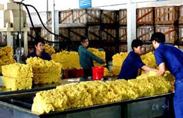 Xuất khẩu nông, lâm, thủy sản 2010: “Câu lạc bộ tỷ đô”