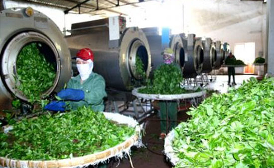 Đón cơ hội khi Myanmar chính thức mở cửa thị trường