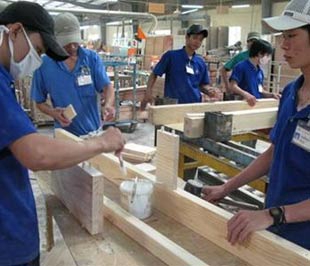Ngành gỗ lao đao trong cơn khủng hoảng