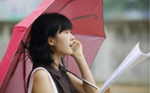 Năm 2012, thuê bao điện thoại tăng nhỏ giọt