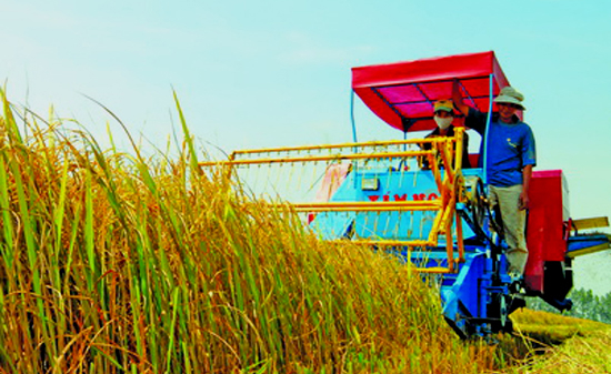 Giá trị sản xuất nông nghiệp 2010 tăng 4,7% 