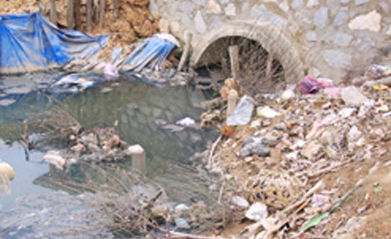 Năm 2011, Quốc hội giám sát chuyên đề về môi trường