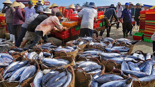 EVFTA và CPTPP: Thời