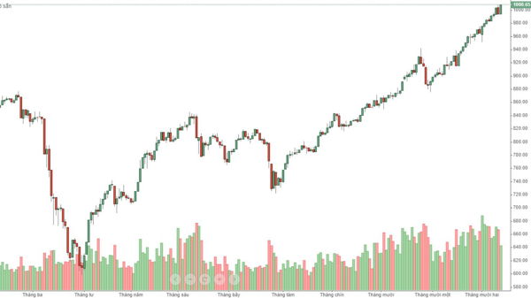 Blog chứng khoán: Đóng đinh cách nghĩ 