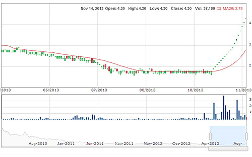 VNH, cổ phiếu “điên” nhất 2013?