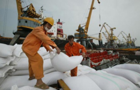 Giá gạo xuất khẩu của Việt Nam bắt đầu giảm