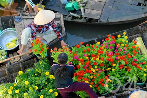 Sức khỏe kinh tế Việt Nam 2014 trong mắt nhà thống kê