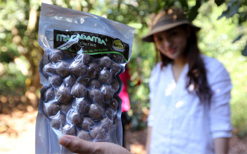 Một mắc-ca đang “xấu xí”: 20 năm, Bộ ở đâu?