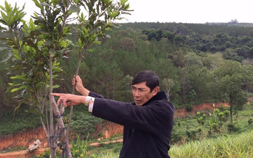 Vì sao “vua” mắc-ca Lâm Đồng rơi vào bế tắc?