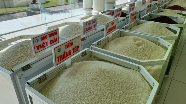 Vì sao gạo Việt vào thị trường Anh vẫn mang thương hiệu của nhà phân phối?