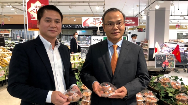 Vải thiều Việt Nam được doanh nghiệp Nhật Bản 