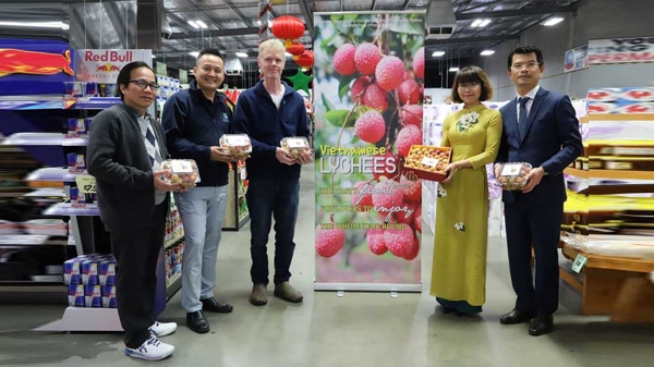 Một hộp vải tươi được đấu giá tới 3.000 đô la Úc