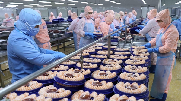 Doanh nghiệp ngành thủy sản khó trụ với “3 tại chỗ”