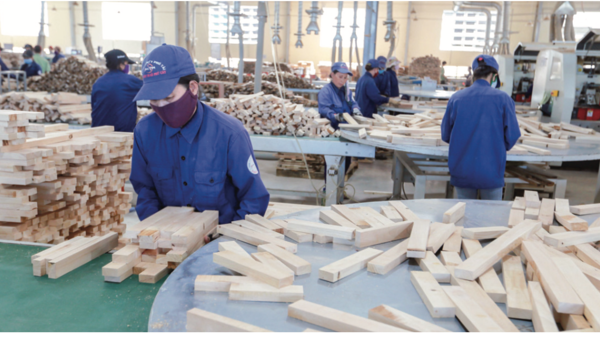 Xuất khẩu nông lâm, thủy sản: Nên chọn FOB hay CIF?