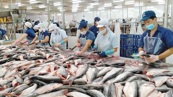 Tránh nguy cơ đổ vỡ chuỗi sản xuất thủy sản