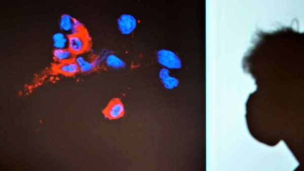 Những cập nhật quan trọng về biến thể Omicron sau một tháng lây lan toàn cầu