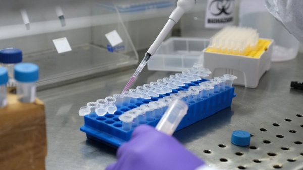 Cyprus phát hiện biến chủng mới kết hợp Omicron và Delta, Nam Phi nói điều lạc quan về đại dịch