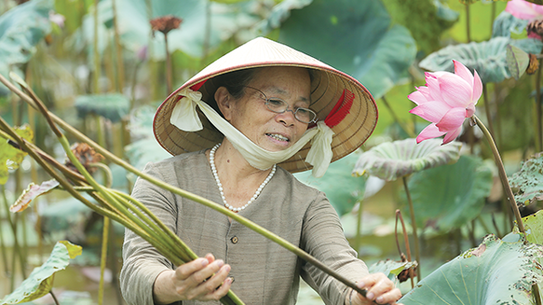 Dệt tương lai làng nghề từ tinh túy quốc hoa