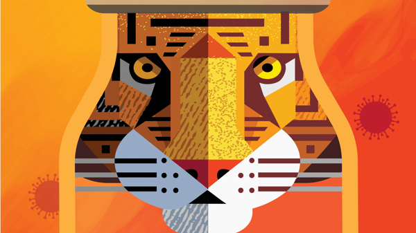 Tạp chí Kinh tế Việt Nam Xuân Nhâm dần