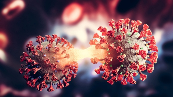 Chuyện gì xảy ra nếu “Omicron tàng hình” trở thành biến thể chiếm ưu thế?