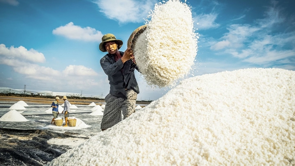 Bạc Liêu, Đồng Tháp...hướng đến phát triển bền vững, nông dân