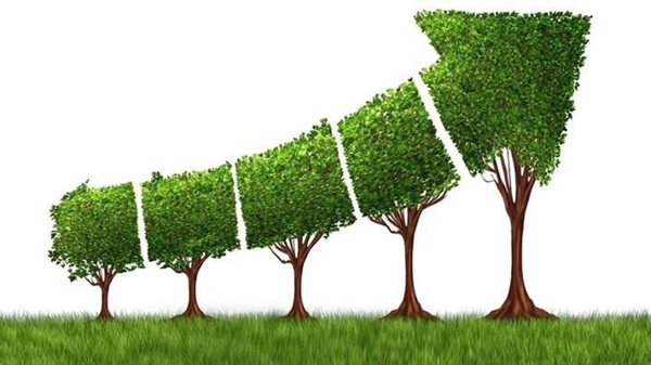 Mỗi địa phương là một đầu tàu, đón đầu xu thế tăng trưởng xanh