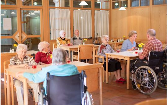 Hồi hương dưỡng lão, niềm vui của Việt kiều cao tuổi